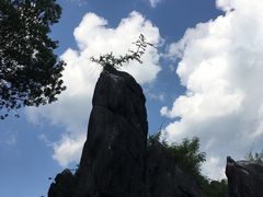 -玉石林风景区