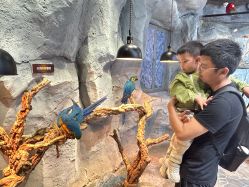 -Zoolung Zoolung动物主题公园(海信广场店)