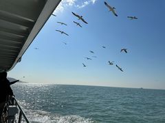 -海驴岛(荣成市)