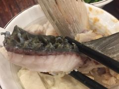 -正能量脆肉鲩火锅
