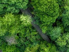 -富春桃源风景区
