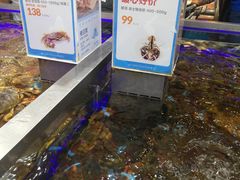 -盒马鲜生(大成店)