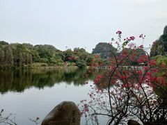 -星湖旅游景区七星岩