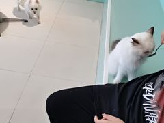 -怪兽屋·羊驼·猫咖·狗咖(俊华广场店)