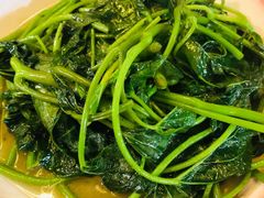 时蔬-老三样·美食研究中心(世贸路店)