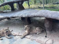 -北京野生动物园