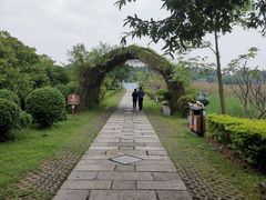 -海上田园