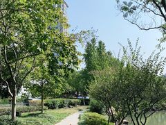 -昆山城市公园