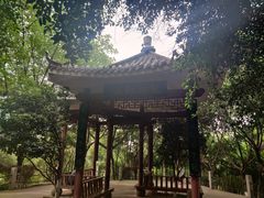 -龙头寺公园