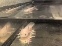 -太平洋海底世界