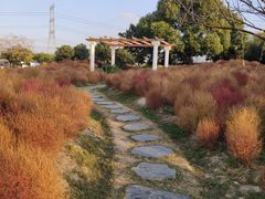 -上海杨姆庄园