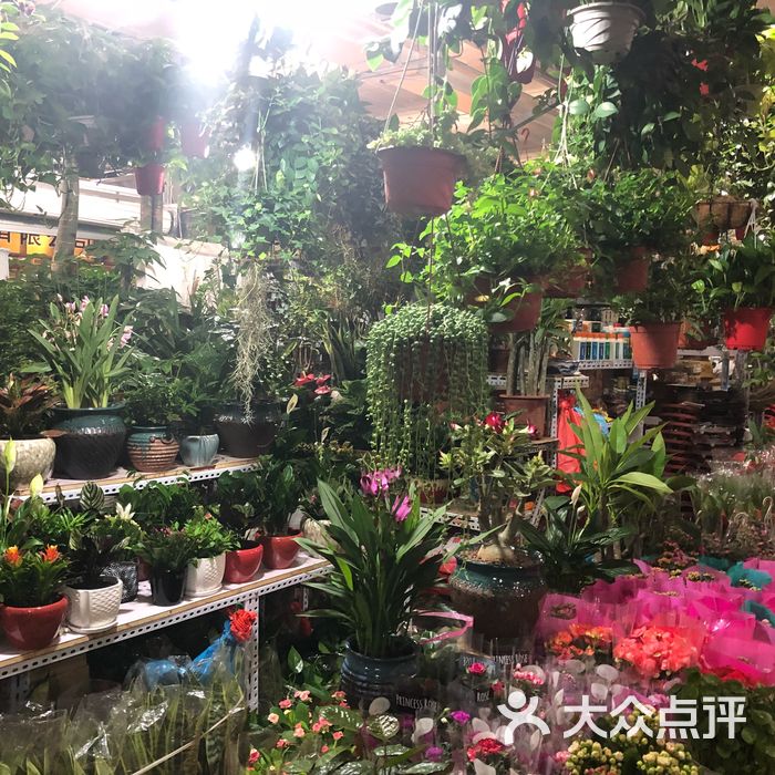 朝来春花卉市场 营业图片