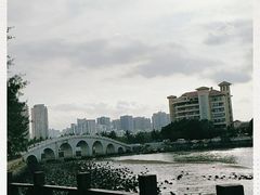 -万绿园