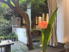 -古今茶语·峨眉山有机茶体验馆