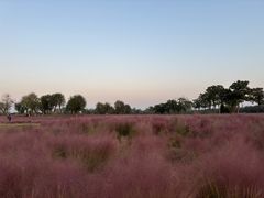 -汉长安城未央宫国家考古遗址公园