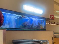 -老板恋上鱼(恒隆广场店)