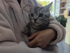 -芭比堂动物医院·CT·微创中心(新顺分院)