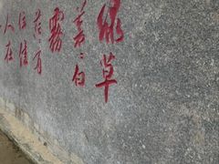 -呼兰河口湿地公园