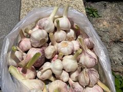 -汉思肴 热面皮(虬江路店)