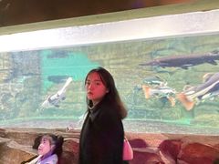 -重庆欢乐海底世界