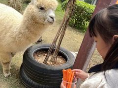 -泉州海丝野生动物世界