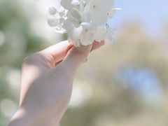 -上海滨江森林公园
