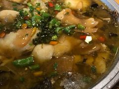 -鸡毛店·川菜(双楠店)