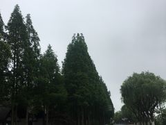 -太阳岛度假酒店