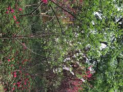 -上海市龙华烈士陵园