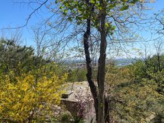 -北京鹫峰国家森林公园