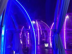 -南门四季铜锅涮肉(大屯·北苑店)