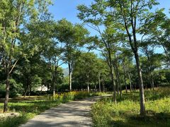 -玉渡山自然风景区