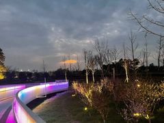 -太湖湖滨国家湿地公园-停车场