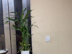 -传古推拿·古法按摩(义井路店)