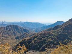 -大岭沟猕猴桃谷风景区