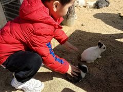 -盈香心动乐园