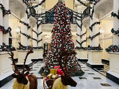 -Salon de Ville浦江汇(上海外滩华尔道夫酒店店)