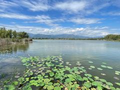 -野鸭湖国家湿地公园