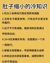 -Fundi张玉珊修身堂·indiba·BTL科技瘦身