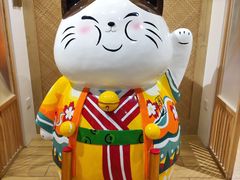 -屋虎猫馆(宝安大仟里店)