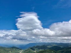 -武陵山森林公园