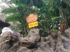 -龙达温泉生态城