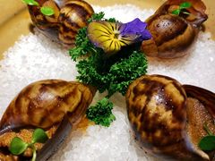 勃艮第白玉蜗牛-ROIIN用心(杭州首店)