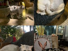 -咖法森林·咖啡  酒吧(天河店)