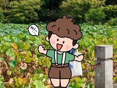 -嘉定紫藤园