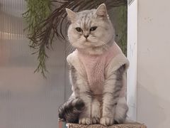 -小时光咖啡馆(北锣鼓巷店)