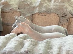 -秦始皇帝陵博物院(兵马俑)