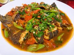 剑骨鱼啤酒炖-生态苑农庄(十里画廊遇龙河店)