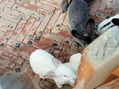 -鄂尔多斯野生动物园