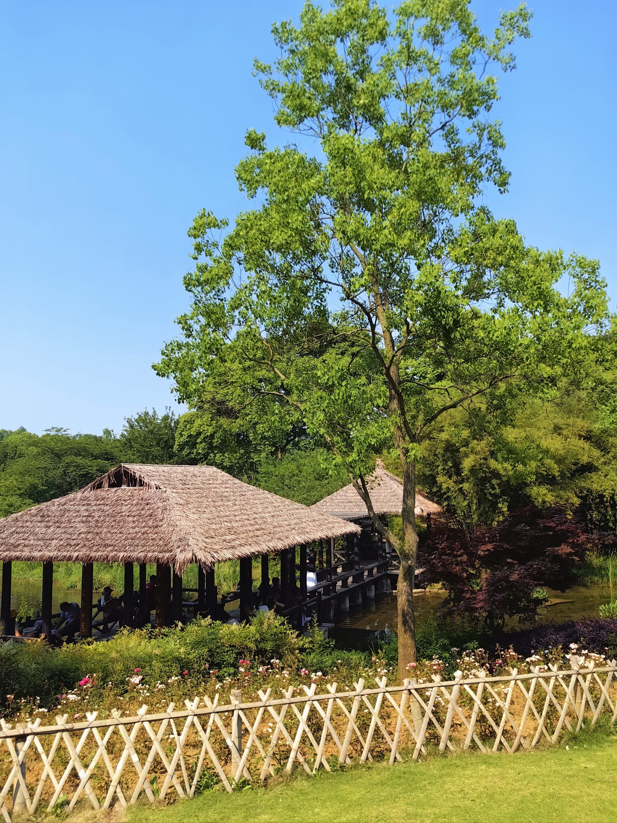 玩转杭州|浴鹄湾(乌龟潭)景区
